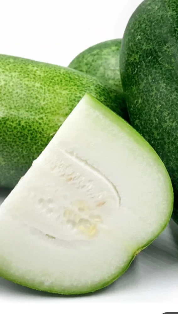 15 Giant Winter Melon Wax Gourd Squash Seeds | Easy Grow USA | Outdoor - Image 1