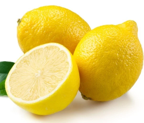 15 Organic Lemon Seeds - Non-GMO Citrus Fruit Seeds, USA Grown - Image 2