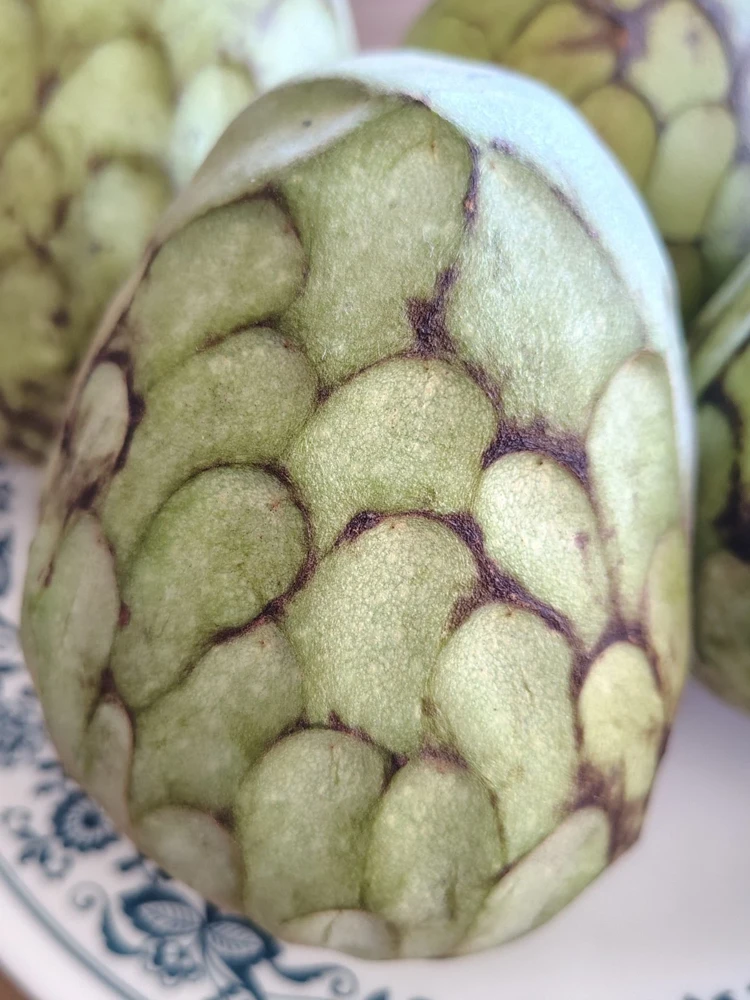 Cherimoya Honey Heart Custard Apple Fruit Seeds - 5 Organic Seeds - Image 1