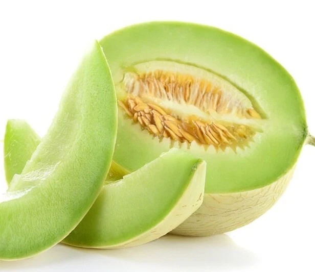 Honeydew Melon Seeds - 50+ Organic Edible Fruit Seeds for Outdoor Planting - Image 2