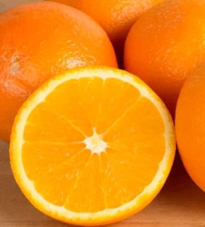 Sweet California Orange Tree Seeds - 5 Seeds Ready to Germinate - Outdoor - Image 2