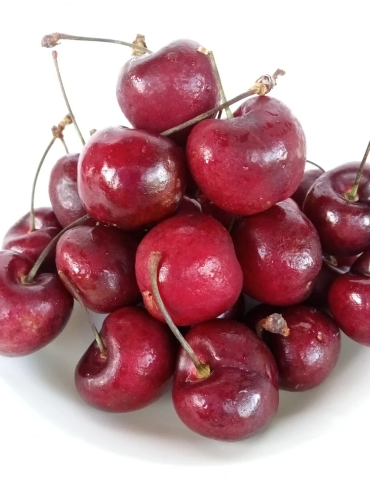 Sweet Organic Red Cherry Fruit Tree Seeds - 15 Seeds - Edible Perennial - Image 2