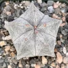 Bishop's Cap Cactus Live Plant - Astrophytum Myriostigma - 4" or 6" Pot - Indoor Spineless Succulent - Image 1