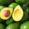 Choquette Avocado Tree Live Plant – Grafted Tropical Fruit Tree in 6 inch Pot - Cannot ship to CA - Image 1