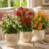Jasmine Live Plant Pack – 3 Tropical Plants, White, Red, Orange – 4-8 Inch Tall - Image 1