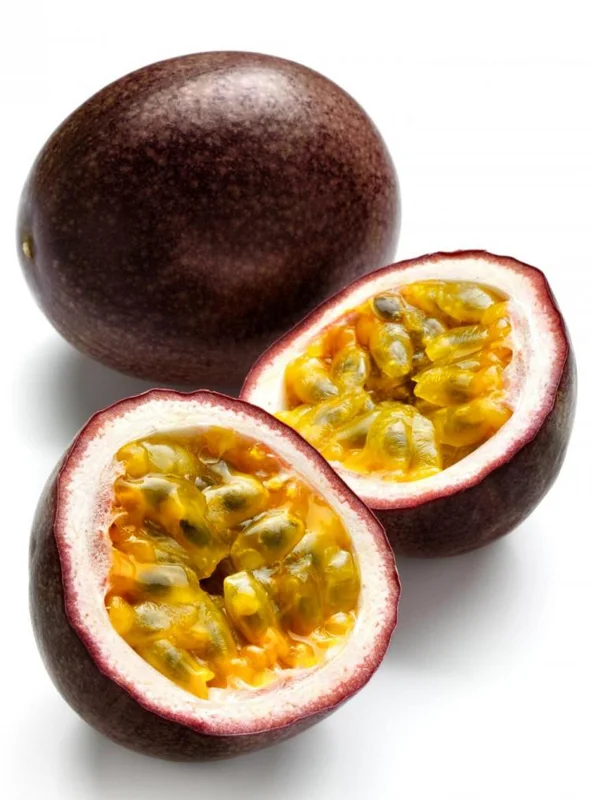 Passiflora Edulis 'Possum Purple' Passion Fruit Vine - Live Plant - 4 inch Tall - Image 2