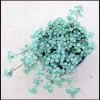 Pilea Glauca 'Blue Baby Tears' Live Plant - Indoor Houseplant - Image 1