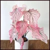 Pink Princess Symphony Caladium Bulbs - Heart-Shaped Foliage - Image 1