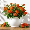 Set of 2 Bright Orange Lantana Live Plants, 4-7 Inches Tall, Outdoor - Image 1