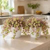 Set of 2 Callisia Plants Live, Pink Lady Turtle Vine, 5-8 Inch Tall, 4 Inch Pot - Image 1