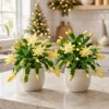 Set of 4 Yellow Christmas Cactus Live Plants, Tropical Cactus, 4-8 Inch Tall - Image 1