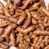 Turmeric Plant Live - Curcuma Longa - 4 inch Pot - Edible & Ornamental Herb - Cannot ship to CA - Image 1