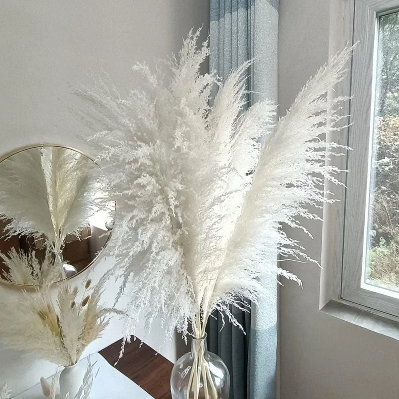White Pampas Grass Live Plant - 4 Inch Pot Starter Plant, Outdoor - Image 9