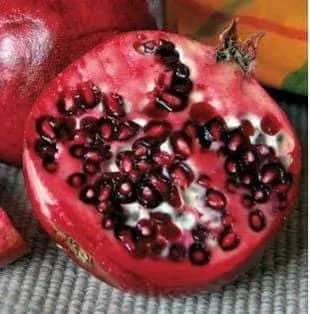 Wonderful Pomegranate Live Plant – Edible Fruit Tree – 6 inch Pot – Outdoor - Image 1