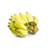 Bluggoe Orinoco Plantain Seedling Live Plant - 10-18in Tall - Grow Your Own - Image 1