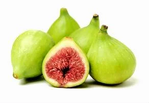 Fig Tree Live Plant - Ficus carica Tropical Fruit Plant (10-24 inches) - Image 2