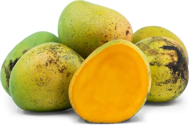 Grafted Alphonso Mango Live Fruit Tree Seedling 2-3 ft Tall - Image 4
