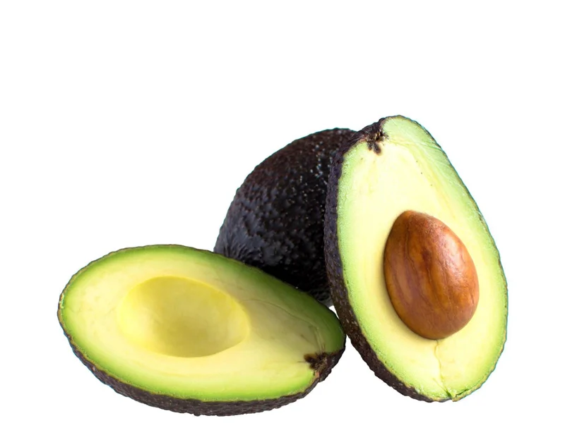 Grafted Criollo Avocado Tree Live Plant (1-2ft) - Fruit Bearing Drymifolia - Image 3