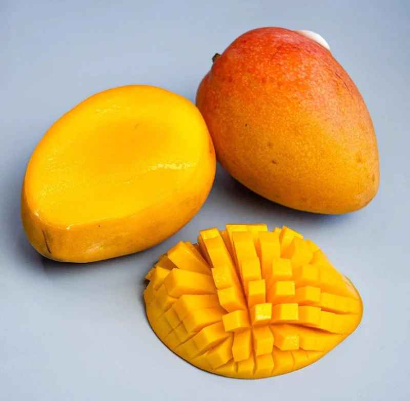 Grafted Edward Mango Tree Live Plant – Early Fruiting, Sweet Flavor (3-4ft) - Image 4