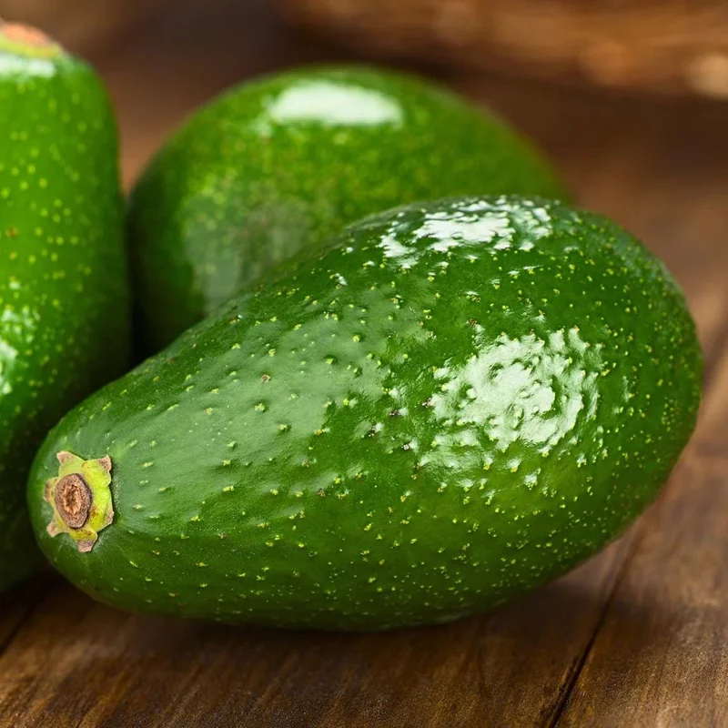 Grafted Fuerte Avocado Live Fruit Tree (30-48in) - Fast Growing Outdoor Plant - Image 6