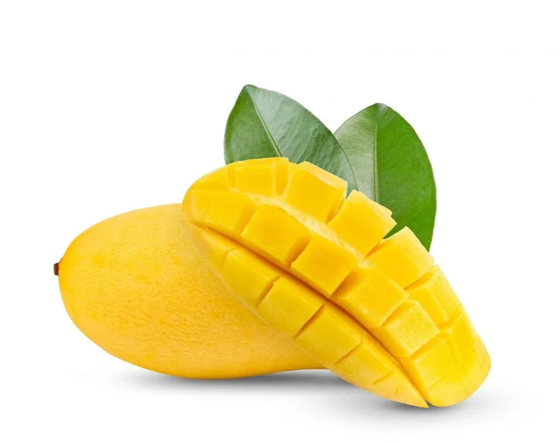 Grafted Manila Mango Live Fruit Tree – 2ft Tall – Tropical Plant for Home Garden - Image 2