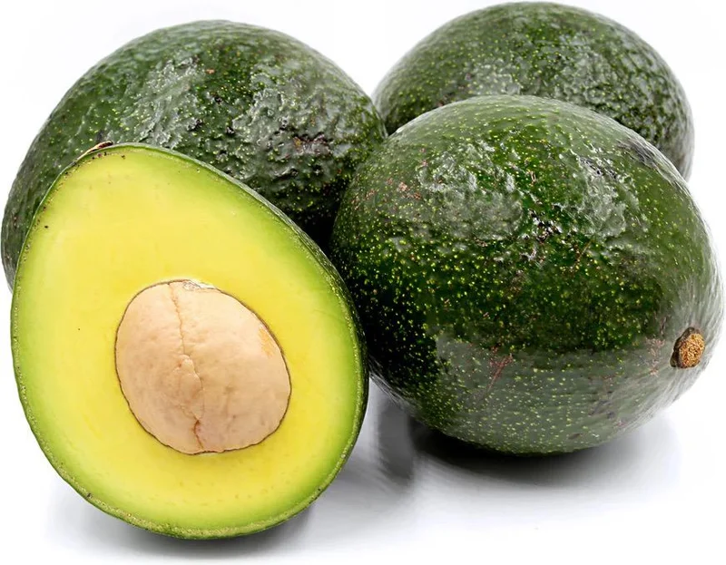 Grafted Reed Avocado Live Fruit Tree - 1-2 ft Tall - Outdoor - Image 2