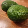 Hass Avocado Live Tree 2 ft Tall - Fruit Bearing Plant for Home Garden - Image 1