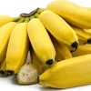 Lady Finger Banana Tree Live Plant – Musa acuminata – 10-18 inches tall – Fruit Tree - Image 1