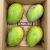 Lemon Zest Mango Tree Live Plant - Grafted Fruit Tree (3-4ft) Tropical - Image 1