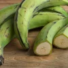 Macho Plantain Live Plant (Musa Balbisiana) 10-18 inches Tall - Image 1