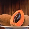 Mamey Sapote Live Tropical Tree (Pouteria sapota) – 20-30 inches Tall - Image 1