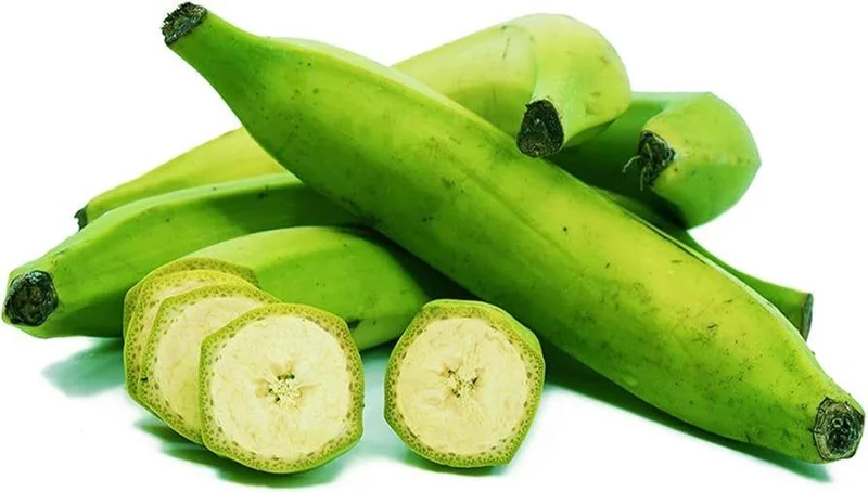Plantain Live Fruit Plant - Musa paradisiaca - 10-18 inch Tall Seedling - Image 3