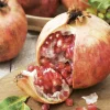 Pomegranate Tree Live Plant – 1-2 ft Tropical Fruit Tree – Outdoor - Image 1